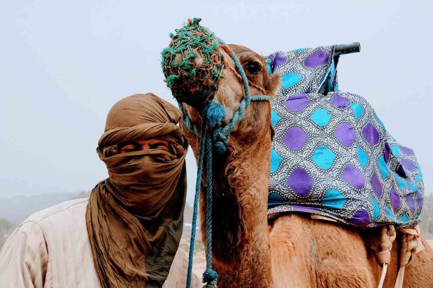 fes camel tours
