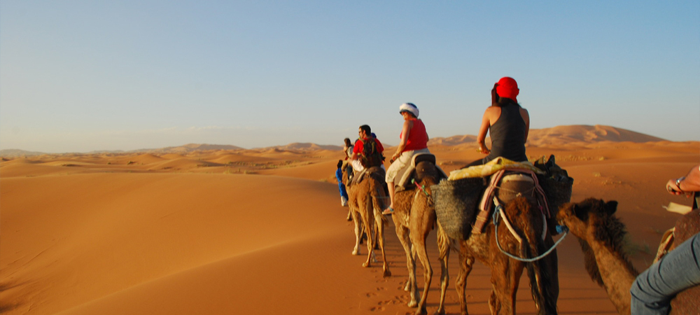 marrakech camel tours