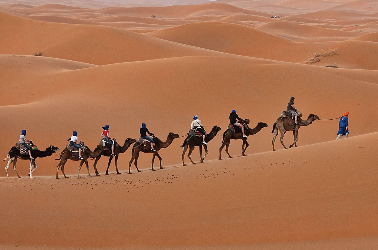 camel trekking in the Sahara at Erg Chebbi, Morocco
